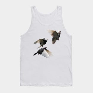 Rock Doves in Flight Tank Top